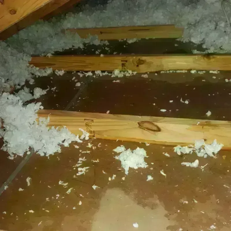 Attic Water Damage in Lahaina, HI